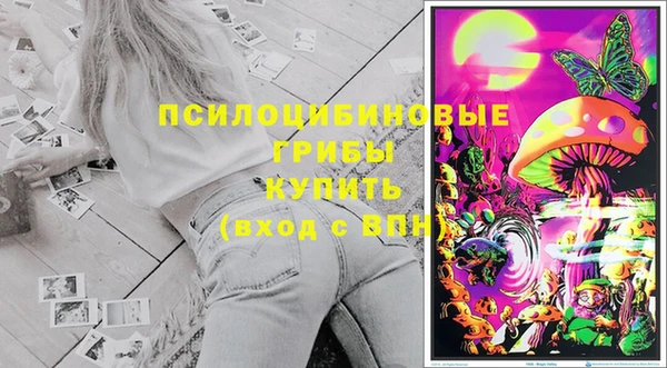 хмурый Арсеньев