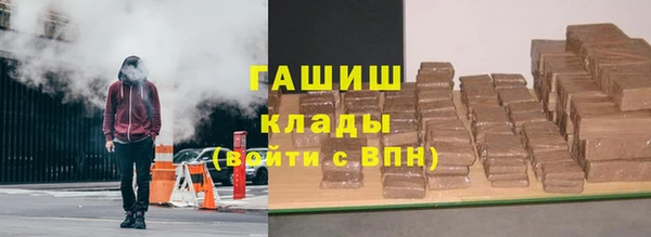 хмурый Арсеньев