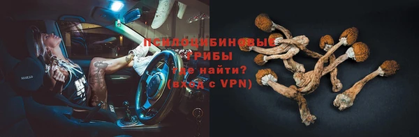 тгк Аркадак