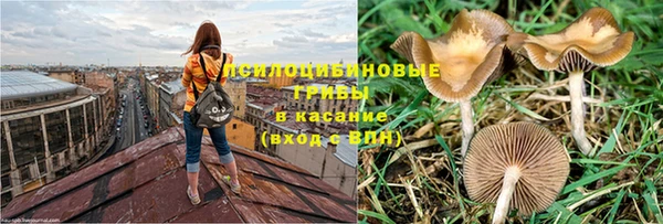 тгк Аркадак