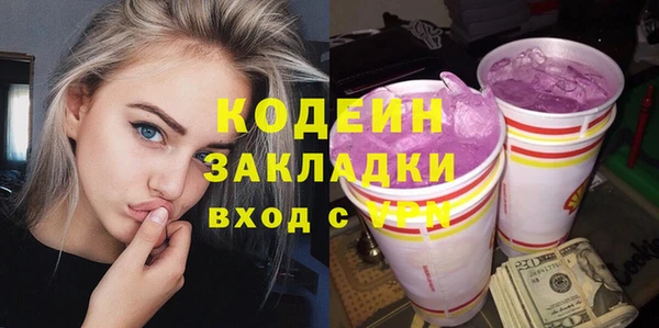 хмурый Арсеньев