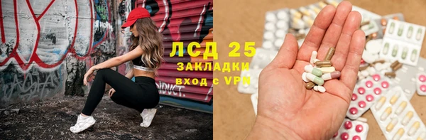 хмурый Арсеньев