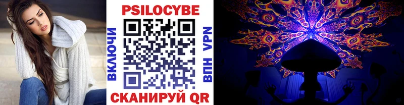 где продают   Борзя  Псилоцибиновые грибы GOLDEN TEACHER 